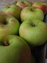 Load image into Gallery viewer, 4.5 kg Peasgood’s Nonsuch Cooking Apples – Heritage Variety