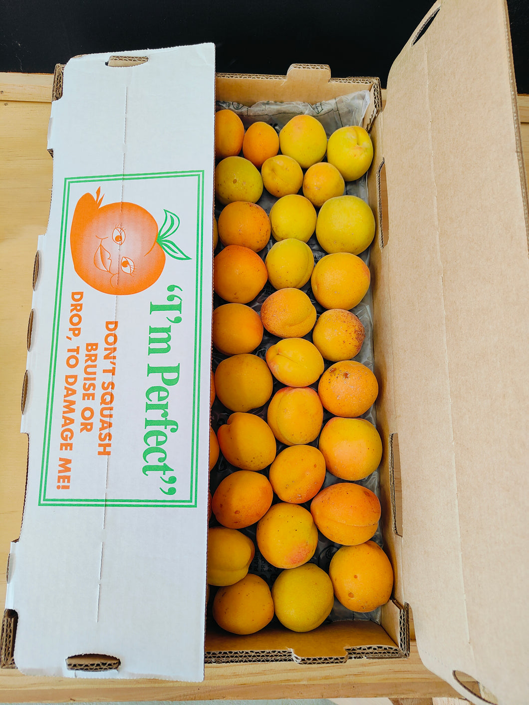 3.5 kg Moorpark Apricots – Central Otago Heritage Variety