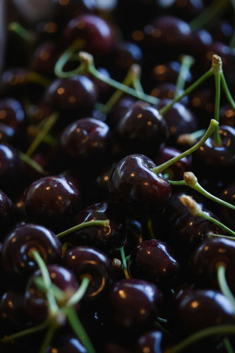 Fresh Central Otago cherries on the tree – Perriam Orchard pre-order 2 kg box.