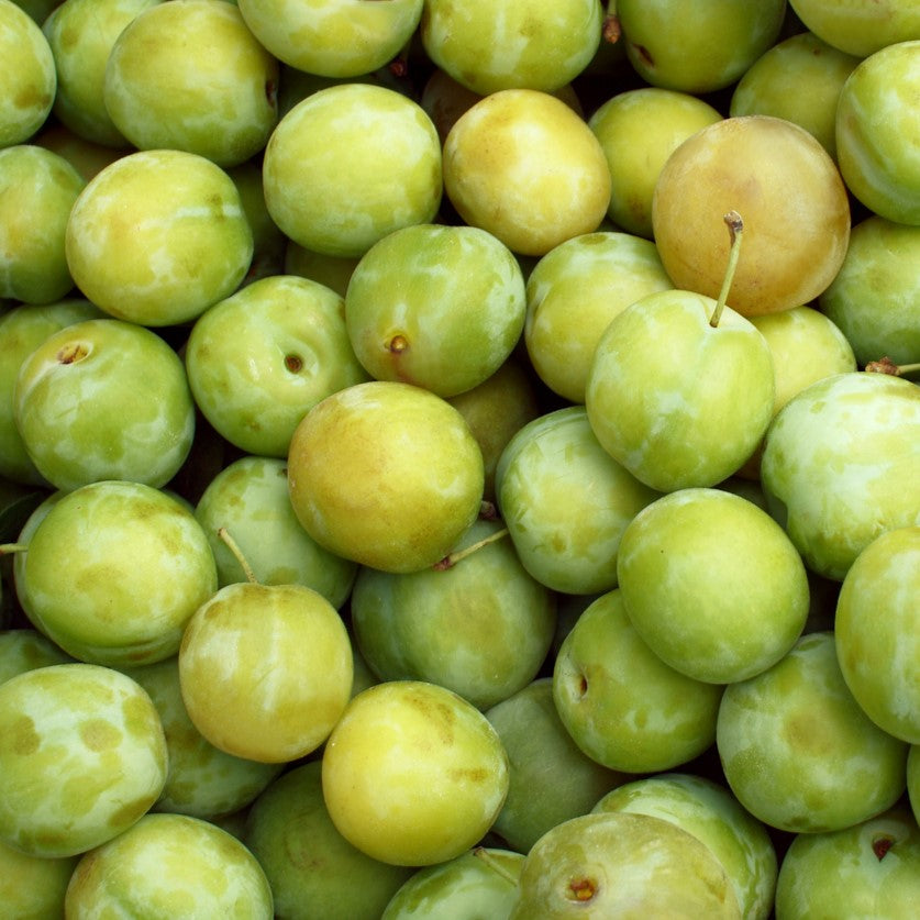Greengages – 5 kg Box